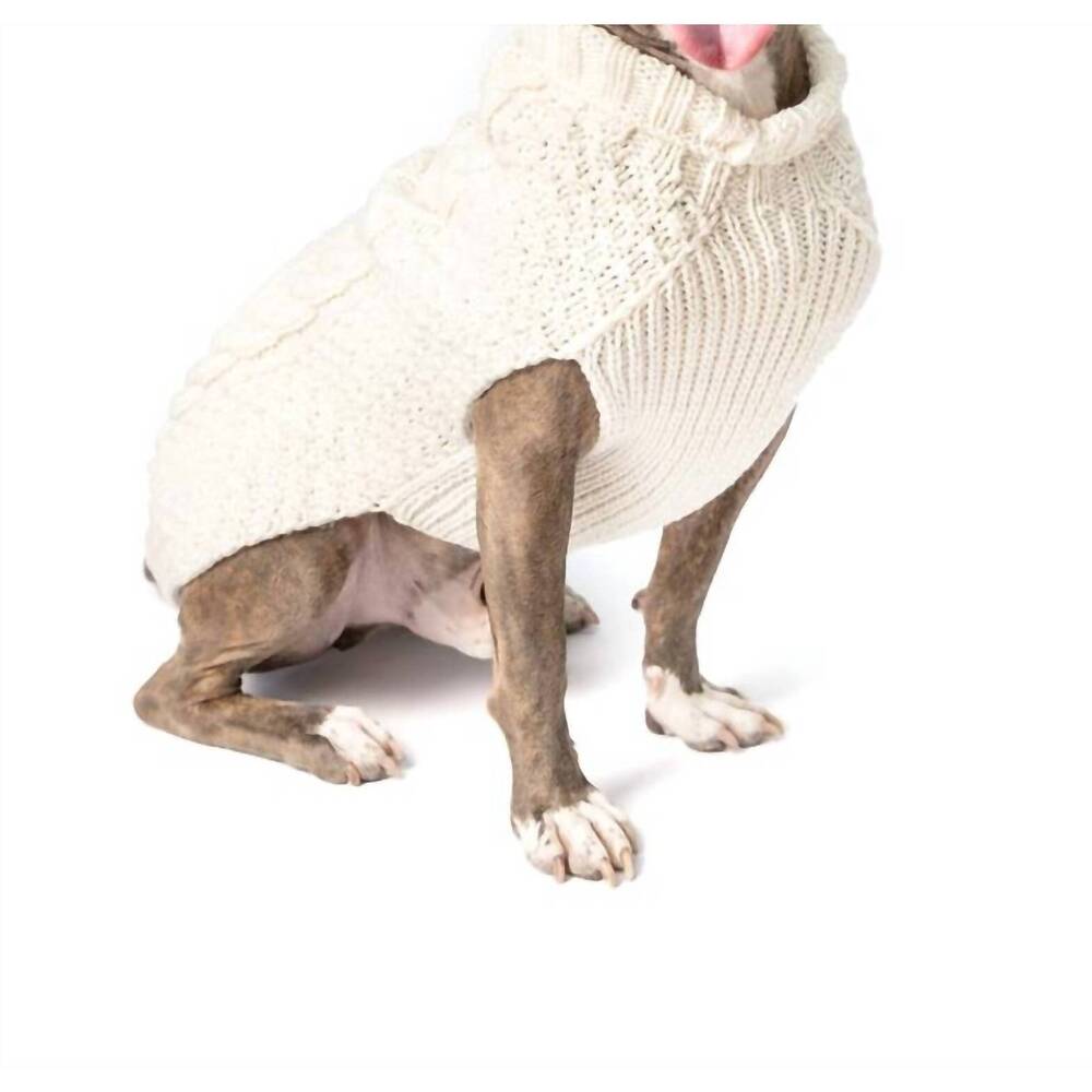 NEW CHILLY DOGS cable knit dog sweater in cream